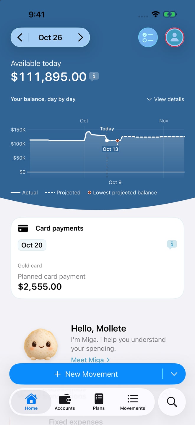 Home on iPhone: available today and balance forecast